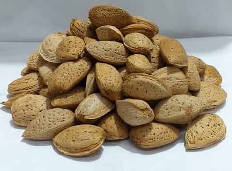 تصویر 4 از قیمت بادام درختی با پوست + فروش ویژه